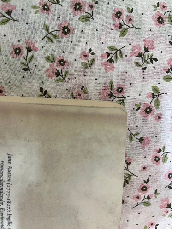 Jane Austen - Gurur ve Önyargı Romanı - Görsel 4