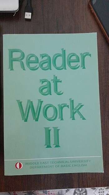 READER AT WORK II