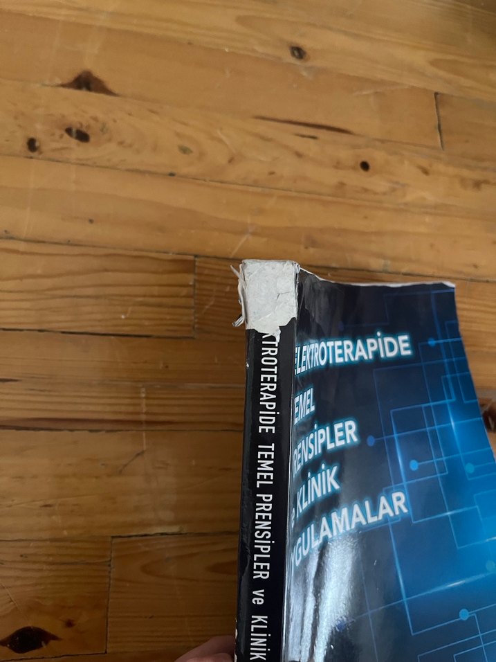 Elektroterapide Temel Prensipler ve Klinik Uygulamalar ftr - Görsel 3