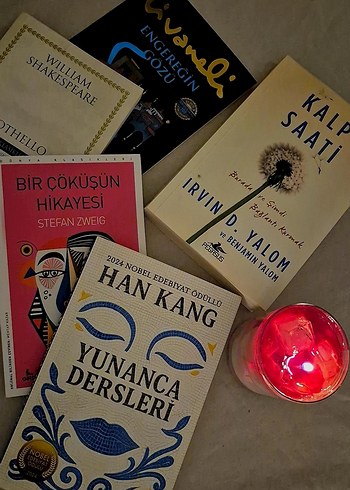 Çeşitli Romanlar ve Edebiyat Kitapları