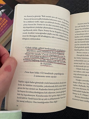 Beden Renk Sessizlik Oteli- Audur Ava Olafsdottir