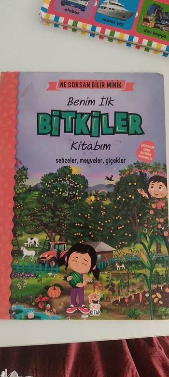 Benim lik bitkiler kitabım