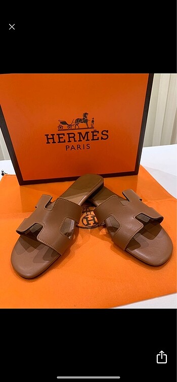 Hermes terlik