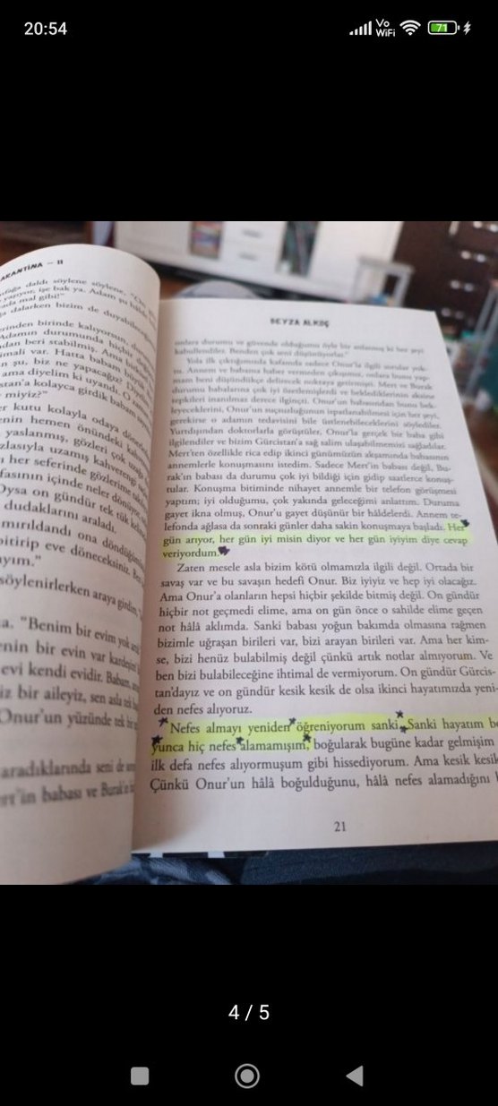 Karantina İkinci Perde - Beyza Alkoç - Görsel 2