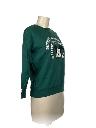Walt Disney World Walt Disney World Sweatshirt %70 İndirimli.
