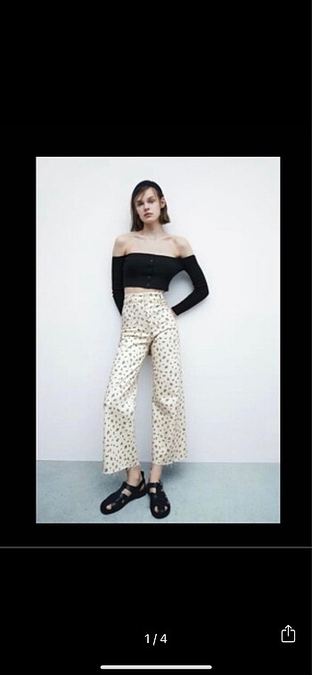Zara Crop Top