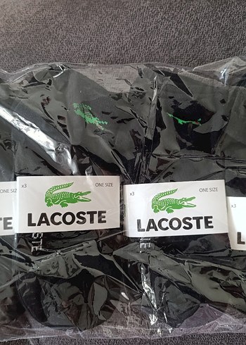 Lacoste Erkek Siyah Mini Spor Çorap 12'li