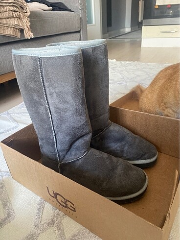 Ugg bot