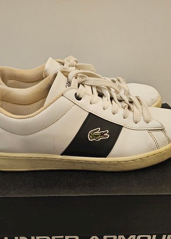 Lacoste 43
