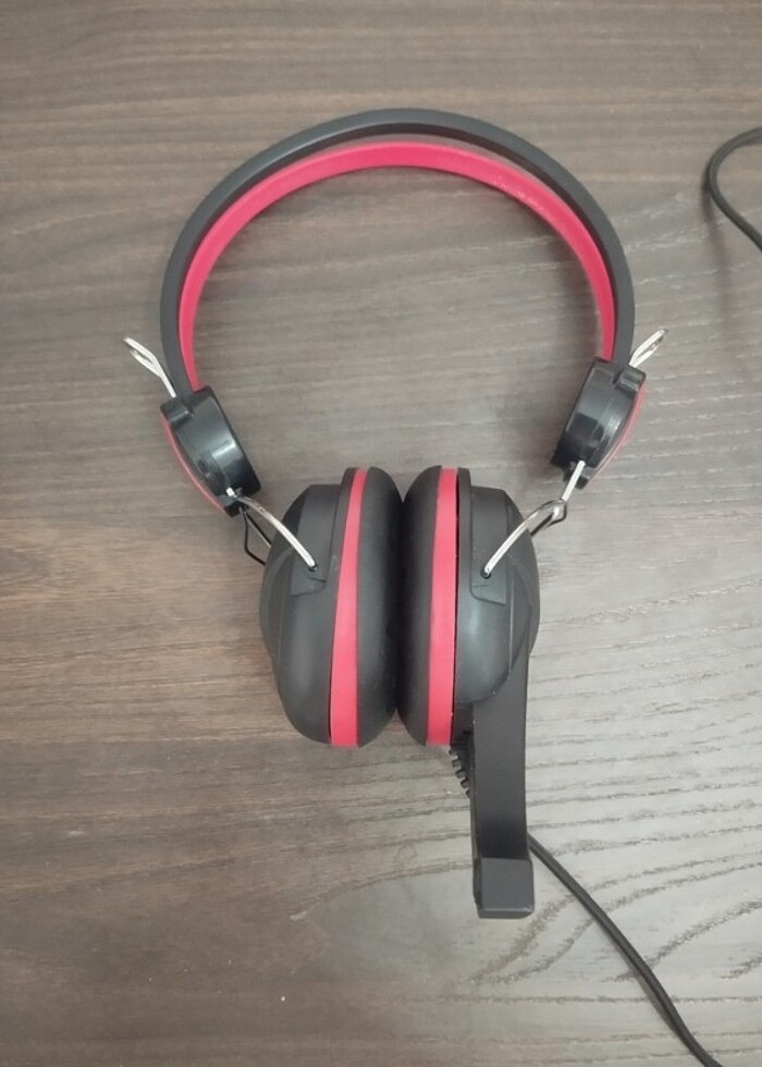 Polygold PG-6950 Mikrofonlu Kulaklık - Görsel 2