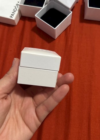 Pandora Beyaz Kutusu - Görsel 8