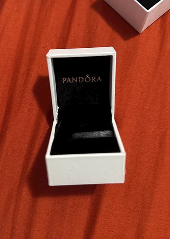 Pandora Beyaz Kutusu - Görsel 2