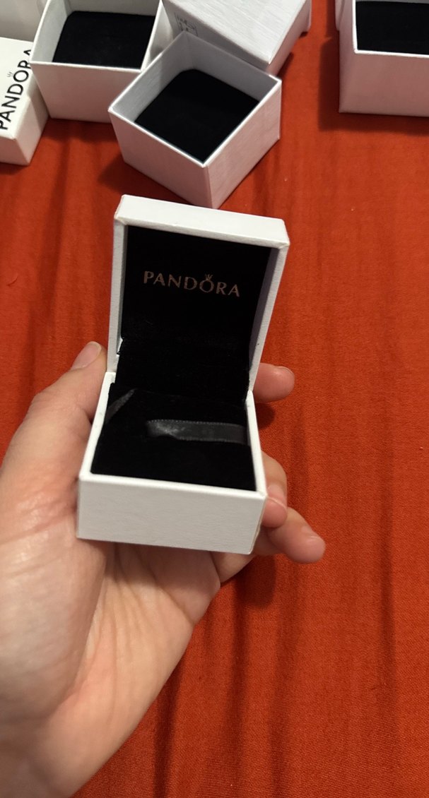 Pandora Beyaz Kutusu - Görsel 5