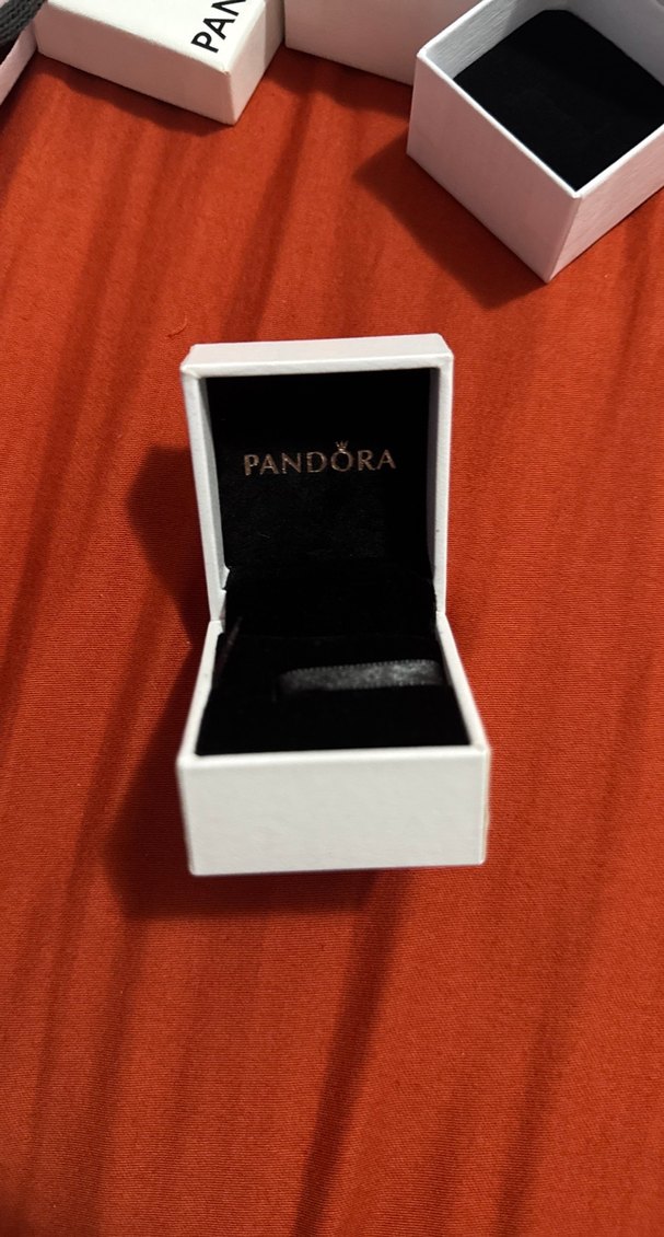 Pandora Beyaz Kutusu - Görsel 2