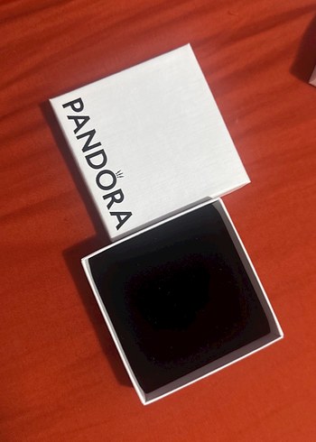 Pandora kutusu - Görsel 2