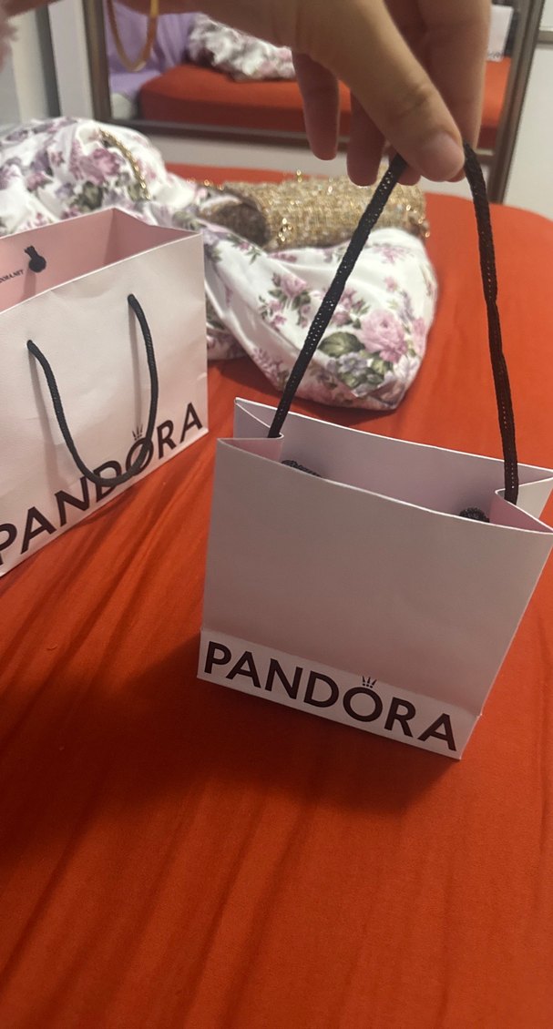 Pandora poşeti - Görsel 2