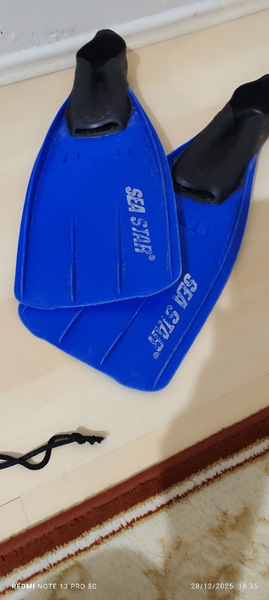 Çocuklar için Mavi Deniz Yıldızı Paletleri - Görsel 2