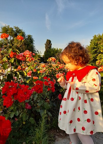 Kız Çocuk Beyaz Pamuklu Uzun Kollu Elbise