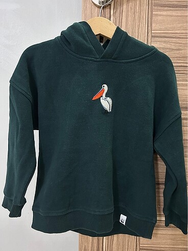 WWF sweatshirt erkek çocuk