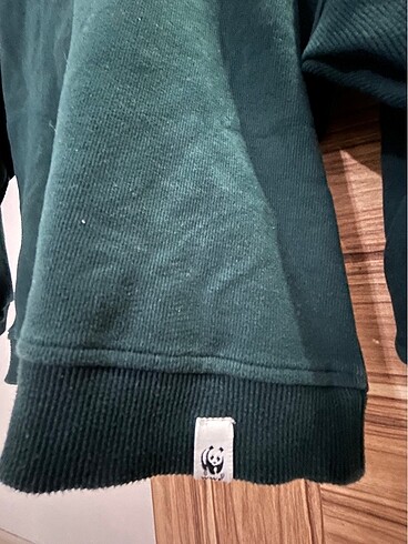 4 Yaş Beden yeşil Renk WWF sweatshirt erkek çocuk