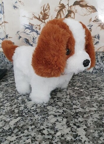Yürüyen köpek