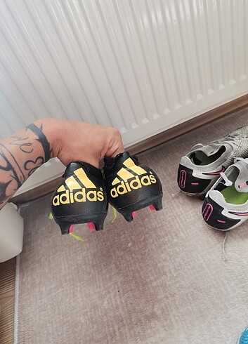 Tam prof adidas