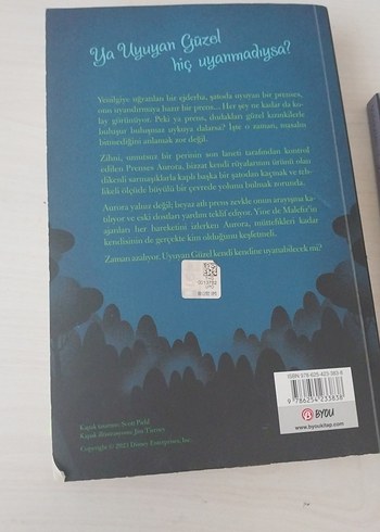 Bir Zamanlar Bir Rüyada - Liz Braswell