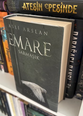 Aslı Arslan - Emare Sarmaşık Romanı