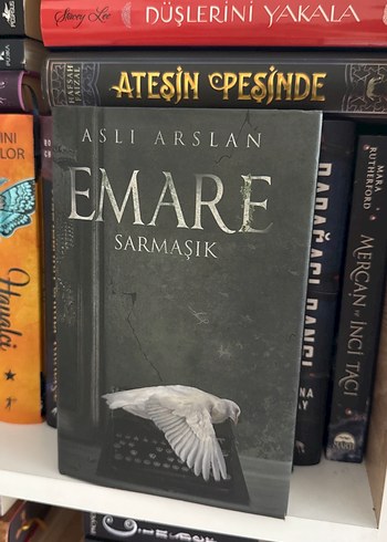 Aslı Arslan - Emare Sarmaşık Romanı