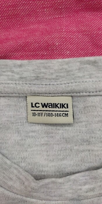 LC Waikiki Lcw sweatshirt gri