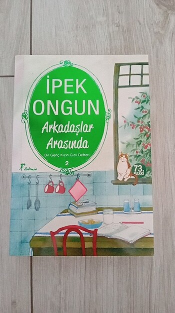 Bir genç kızın gizli defteri 2.kitap