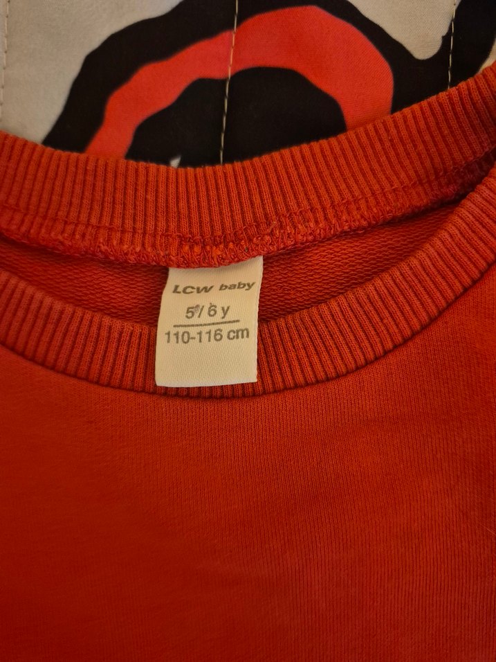 Kırmızı Dinozor Baskılı Erkek Sweatshirt - Görsel 2