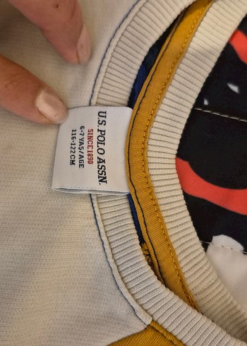 Çok Renkli Erkek Sweatshirt - Görsel 2