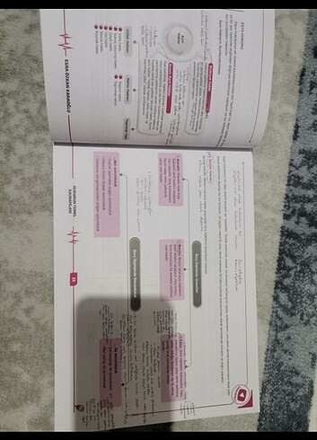  Esra özkan karaoğlu vatandaşlık ders notu 
