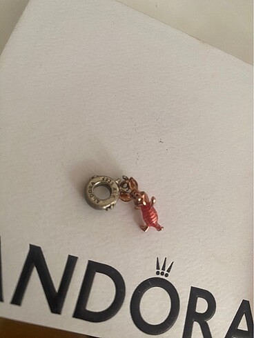  Beden gri Renk Pandora bileklik