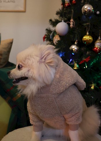 Bej Kürklü Köpek Tulumu - Görsel 8