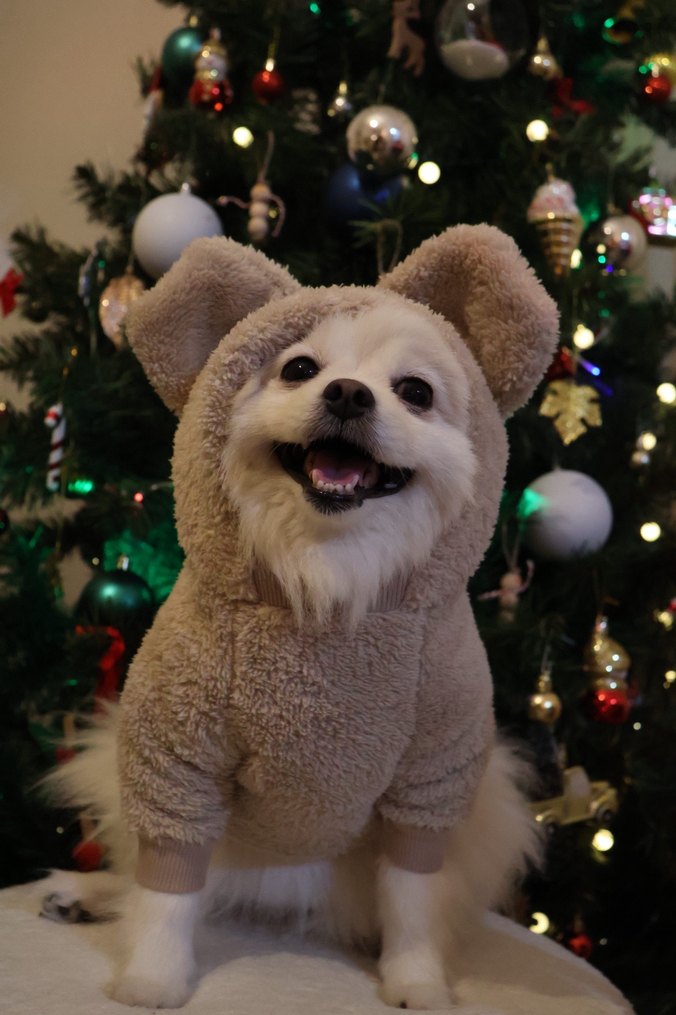 Bej Kürklü Köpek Tulumu - Görsel 2