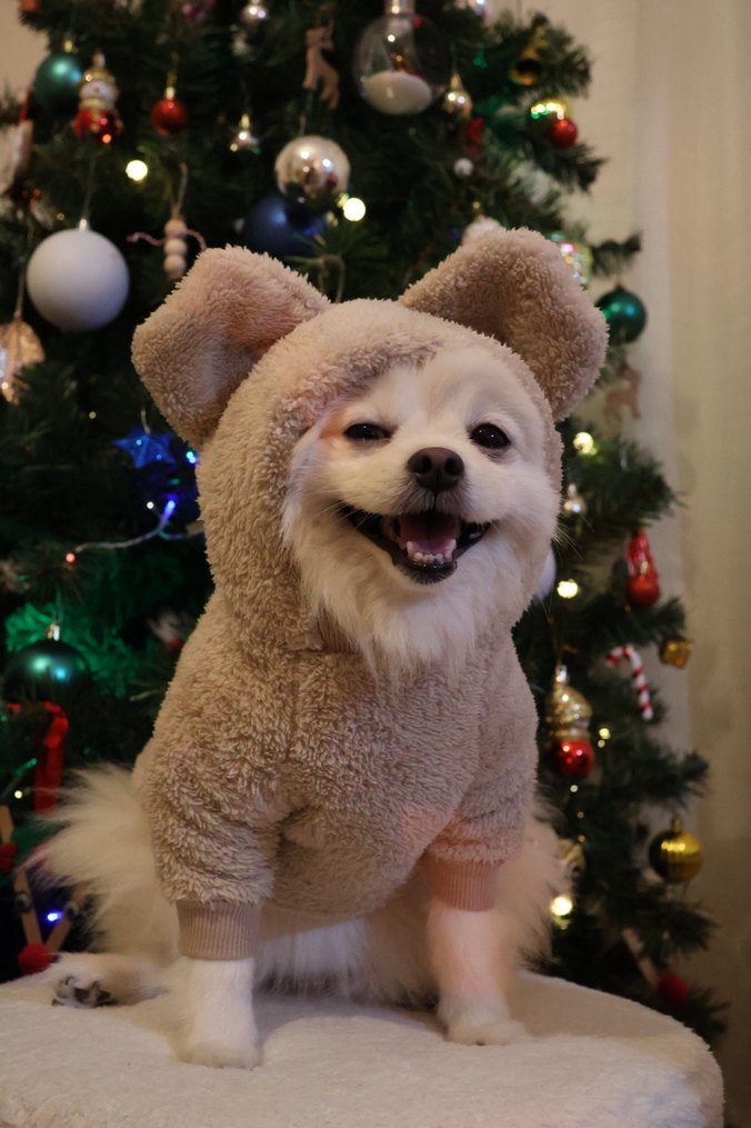 Bej Kürklü Köpek Tulumu - Görsel 4