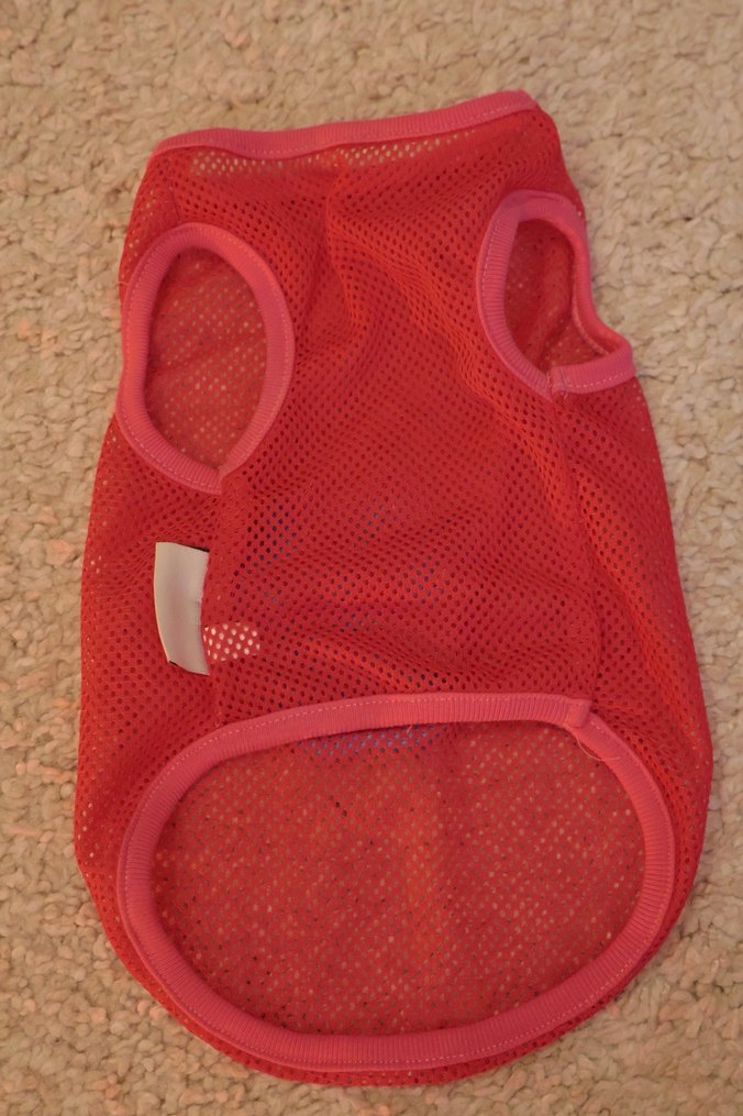 Kırmızı Renkli Pop Kültür Köpek Kıyafeti - Görsel 2