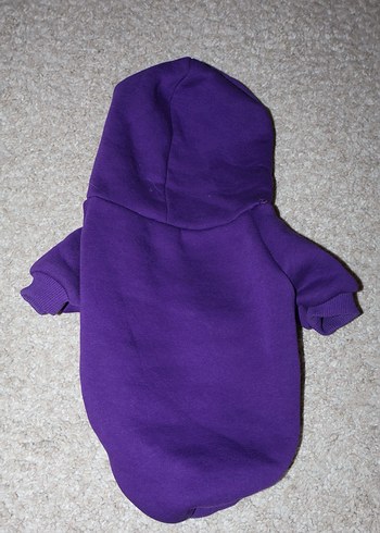 Mor Kapüşonlu Sokak Stili Köpek Kıyafeti - Görsel 2