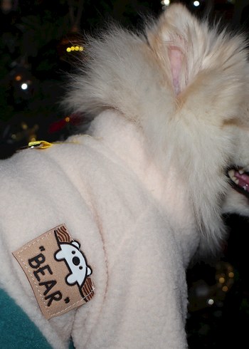 İç Dış Polar Tasma Detaylı Köpek Tulum - Görsel 6