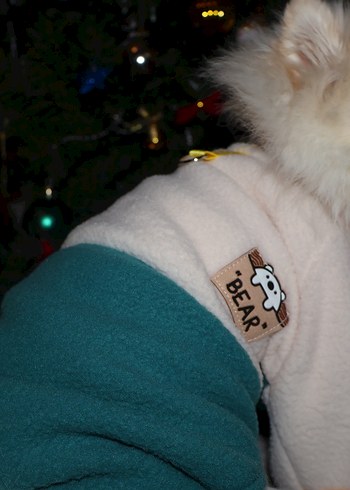 İç Dış Polar Tasma Detaylı Köpek Tulum - Görsel 8