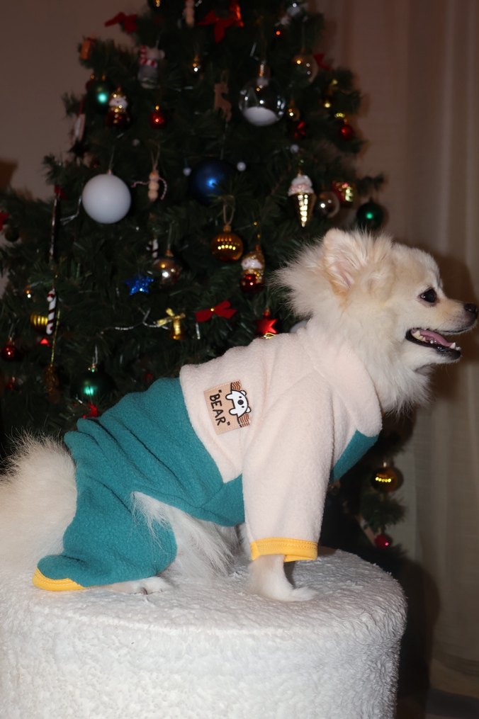 İç Dış Polar Tasma Detaylı Köpek Tulum - Görsel 2