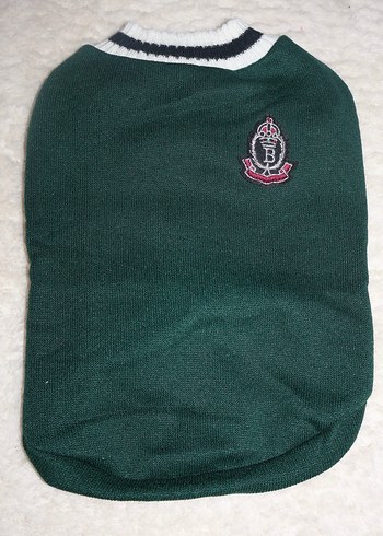 Yeşil Kedi Köpek Armalı Süveter - Görsel 2