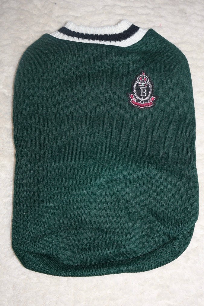 Yeşil Kedi Köpek Armalı Süveter - Görsel 2