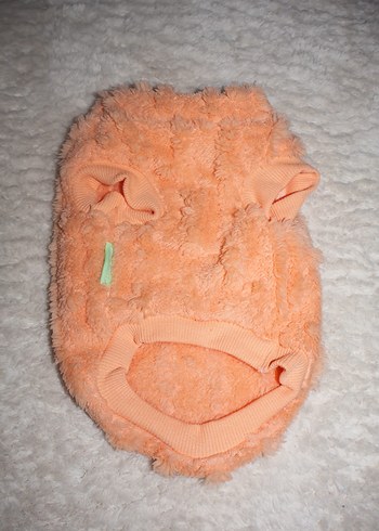 Pastel Turuncu Kedi Kıyafeti - Görsel 7