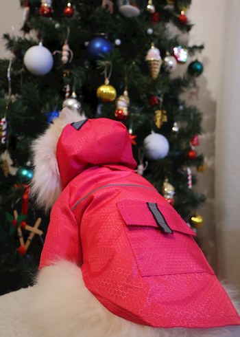 Pembe Reflektörlü Köpek Yağmurluk - Görsel 3