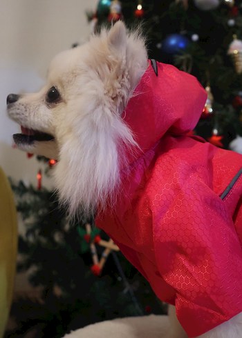 Pembe Reflektörlü Köpek Yağmurluk - Görsel 2