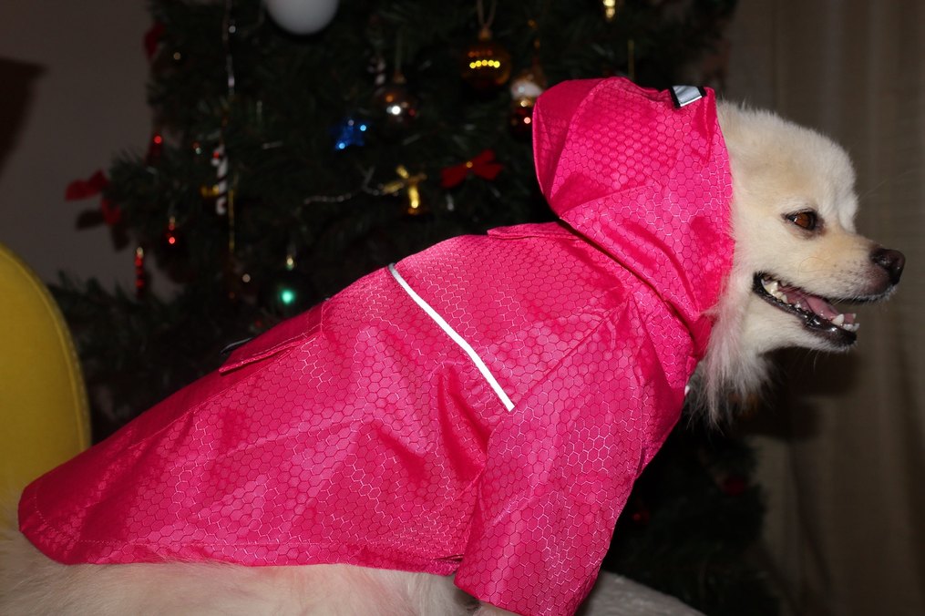 Pembe Reflektörlü Köpek Yağmurluk - Görsel 4