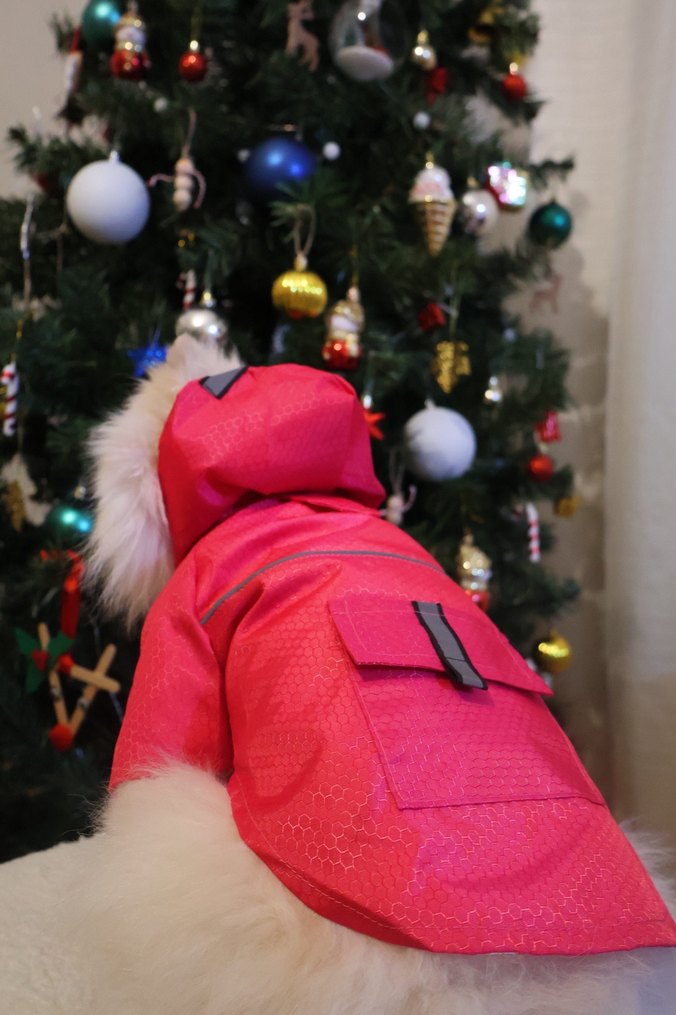 Pembe Reflektörlü Köpek Yağmurluk - Görsel 3